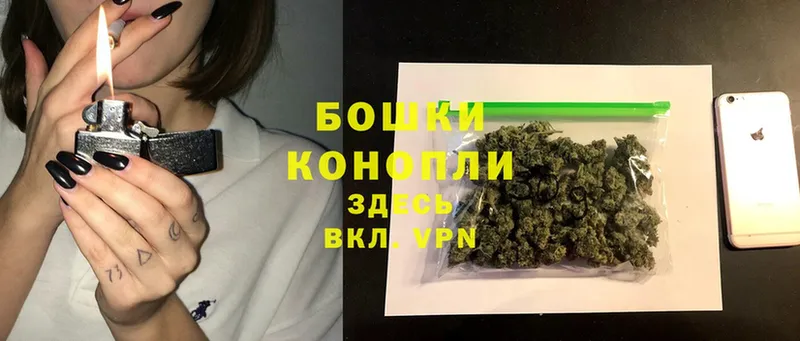 магазин  наркотиков  Ногинск  Конопля SATIVA & INDICA 